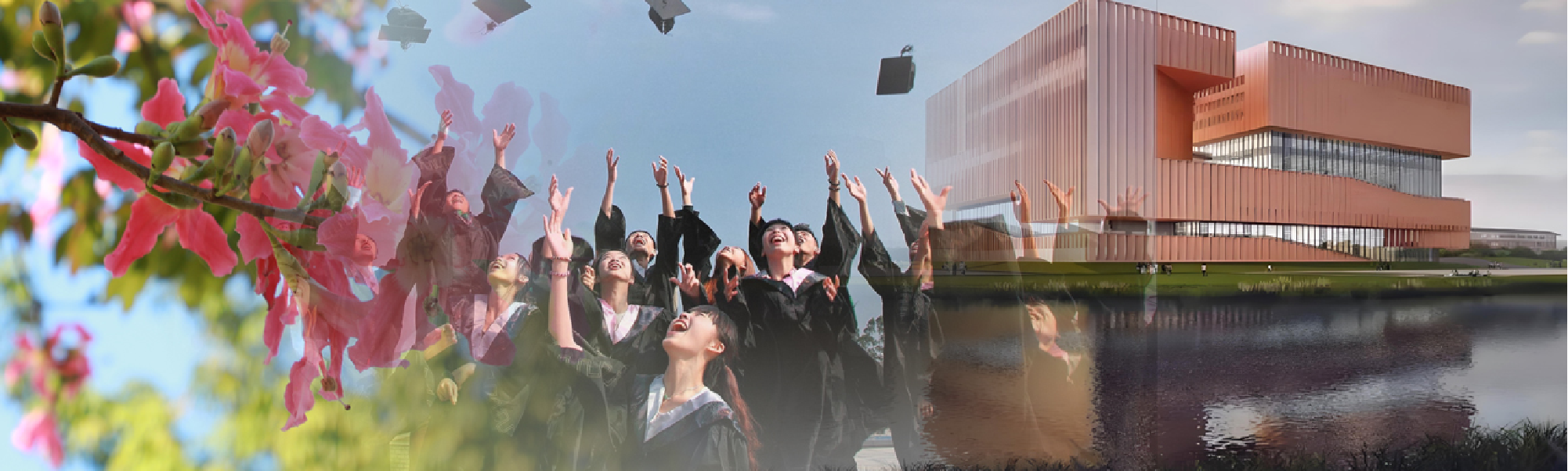 suncitygroup太阳新城